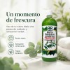 Shampoo Rejuvenecedor Romero Y Eucalipto 1lt Baño Botánico