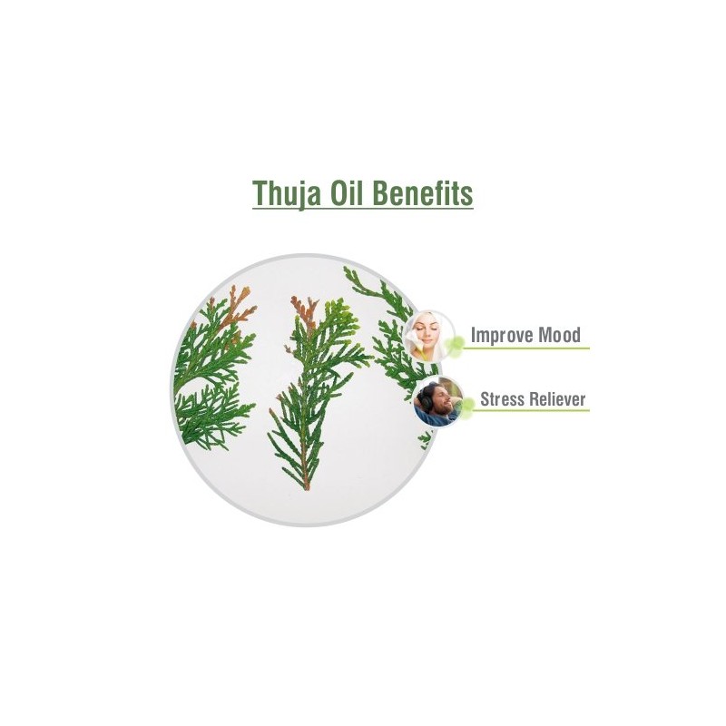 Salvia Thuja (Thuja Orientali) 100% Natural Pure Undiluted Uncut Carrier
