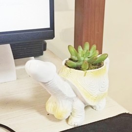 Turtle Planter Turtle Flesh Planter Turtle Statue Turtle Gift Mischievous Joke Turtle Planter Unique Flower Pot For Succulent Plants Live Snail Decor For Fun Planting Experience (tortoise)