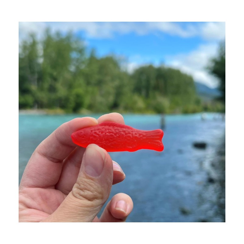 SWEDISH FISH Soft & Chewy Candy, Bulk Candy, 5 lb.