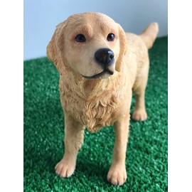 LEONARDO Golden Retriever figurine decoration, realistic ornament from the Dog studies range, in quality gift box