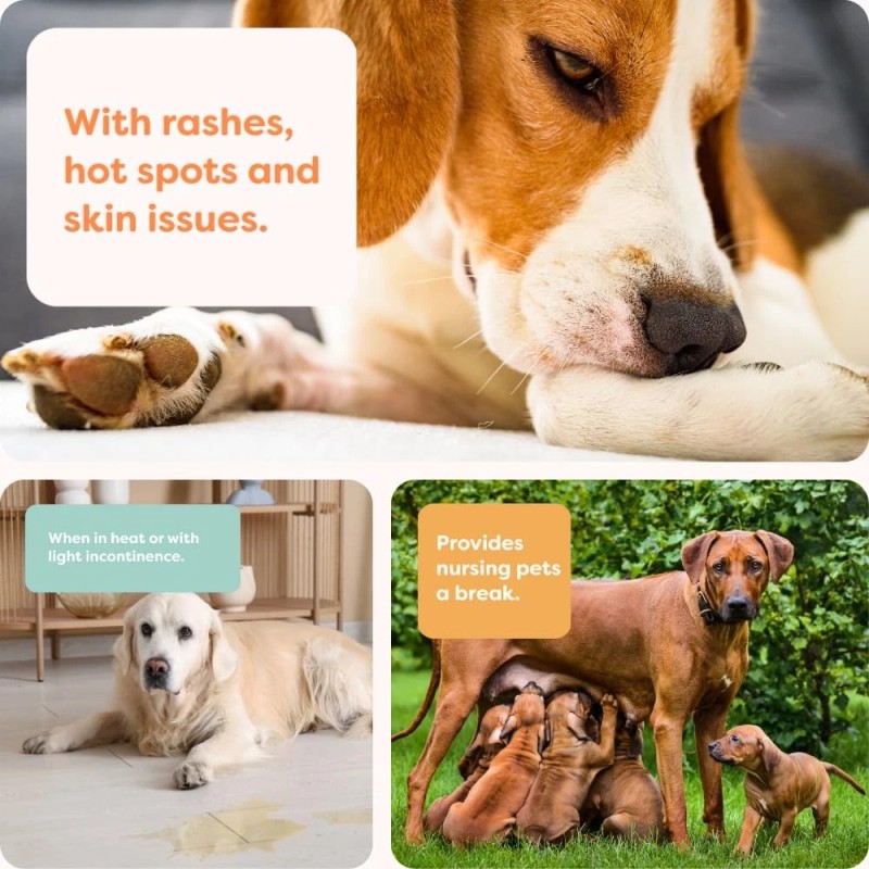 Suitical Dog Surgery Recovery Suit Black Cotton Lycra Cone Alternative