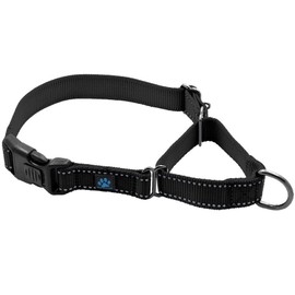 Max and Neo Nylon Martingale Collar - We Donate a Collar to a Dog Rescue for Every Collar Sold (Large, Black)