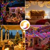 btfarm Color Changing Christmas Lights Outdoor Remote,Warm White-Multicolor