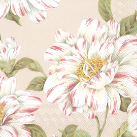 Ideal Home Range 20 Count Cocktail Napkins, Linen Cecilia, 5" x 5"