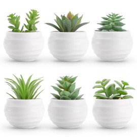 Der Rose Der Rose Set of 6 Succulents Plants Artificial in Pots Small Fake Plants for Bedroom Aesthetic Living Room Office Shelf Bathroom Decor