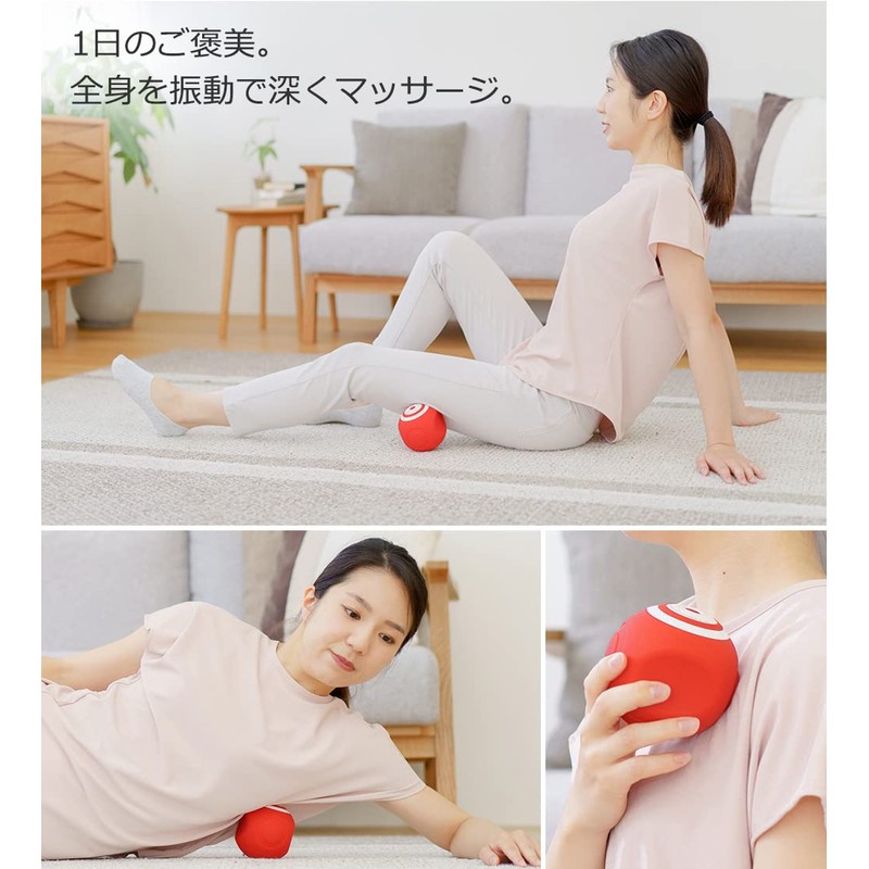 東急スポーツオアシス スタイリーボール 振動レベル５段階 SLB-100 ボディケア 筋トレ ストレッチサポートカバー付 (ネイビー)