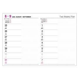 Logical Diary NS-A504-25AD 2025 Two-Week A/A5/Black