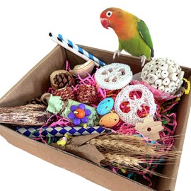 Sysmashing Large Bird Foraging Toy - Natural Shreddable Chew Toys Box for Conures, Cockatiels, Lovebirds & Budgies | Enrichment Activity with Colorful Textures (for Small-Medium Birds)