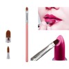 Lip Brush & Eye Shadow Brush - All-in-One Precision Eyeliner,