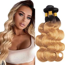 AI 1B27 BB Human Hair Bundles 24 26 28