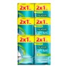 Shampoo Hotelero 1000 Piezas 10ml. Palmolive Optims
