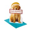 American Greetings Birthday Card (Couldn't Ever Forget)