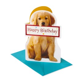 American Greetings Birthday Card (Couldn't Ever Forget)