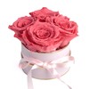 Rosmarie Schulz Heidelberg Rose Box, White Round Infinity Rose, Flower