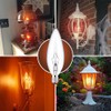 Seigun 60 Watt Clear Candelabra Base (E12) 110V_120V,Flame Shaped Incandescent