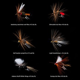 Goture 30pcs Lures Fly Fishing Flies Kit - Trout Bass Salmon Fishing Assortment - Dry Wet Streamers Nymphs