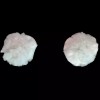 Focused Equine Ear Plugs AQHA APHA Show Legal Horse Size