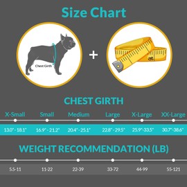 Queenmore Dog Life Jacket, Adjustable Ripstop Dog Life Vest for Swimming Boating, Dog Lifesaver with Superior Buoyancy and Rescue Handle, Dog Swimming Vest for Medium Dogs（Green,M）