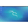 Kali Linux 2025.1a 64 Bit 32 Gb USB 3.2 Bootable