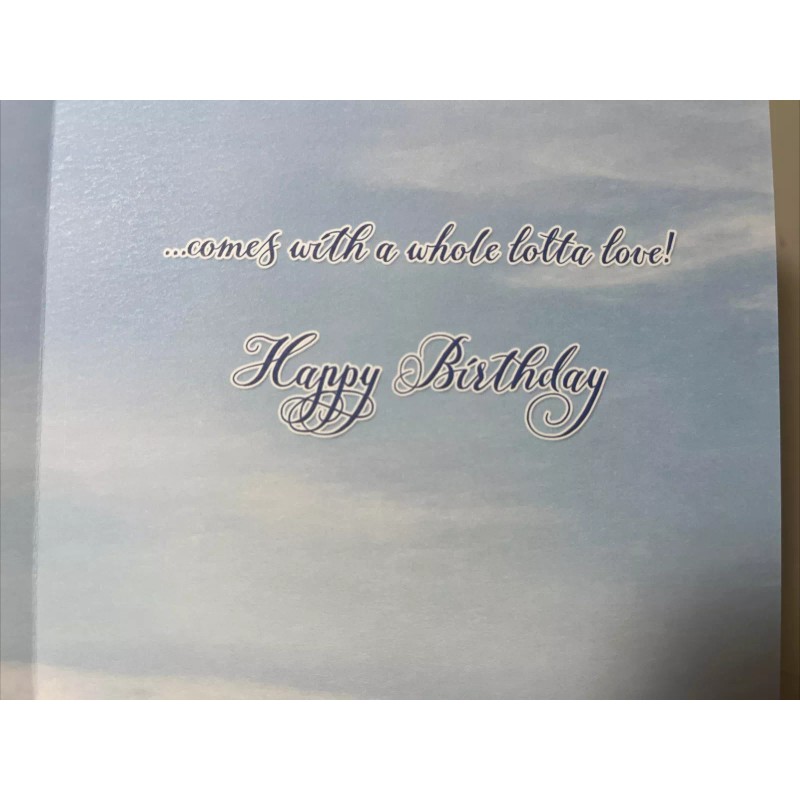 Leanin’ Tree Leanin Tree BIRTHDAY just a little wish comes