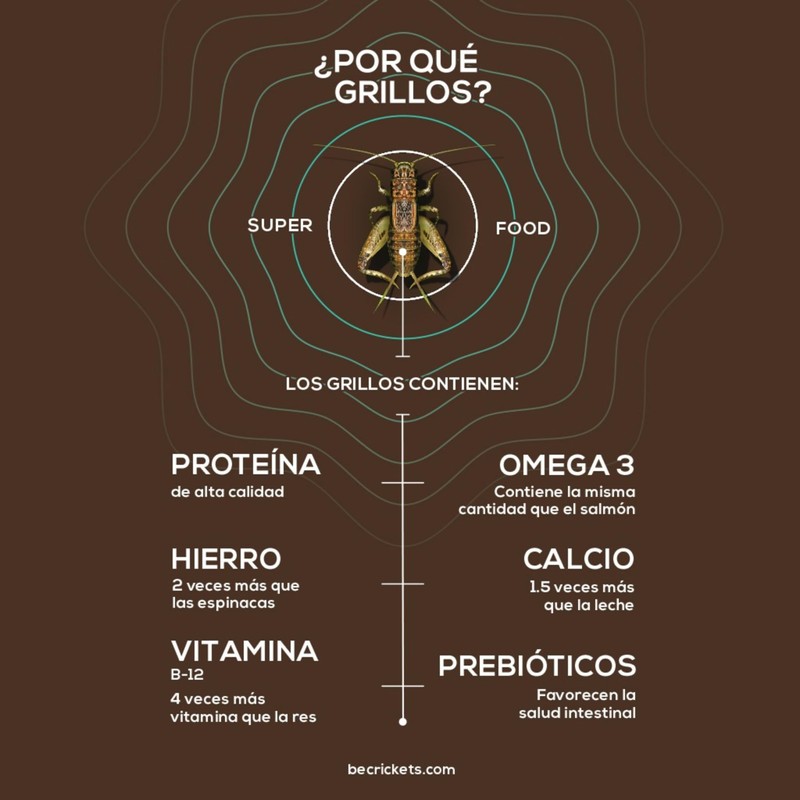 BeCrickets Harina de Grillo | 300 g | 30 cucharadas