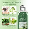 ANNAS Nettle Shampoo - Organic Formula,Helps Regulate Sebum Production, Reduce