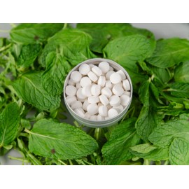 J&L Naturals Toothpaste Tablets | 62-Pack Travel-Friendly Toothpaste | Fluoride + Plastic Free, Vegan, Cruelty Free, Sustainable | Woman-Owned Small Business (Mint, 62 Count (Pack of 4))