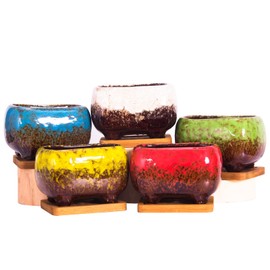 ARTKETTY Succulent Pots - 4.7 Inch Ceramic Succulent Planters with Drainage Set of 5, Rectangular Bonsai Pots with Bamboo Trays Small Pots for Indoor Cactus Flower Plants for Home Office Decor