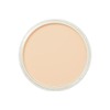 Pan Pastel Artists Pastel Orange Tint - 2808