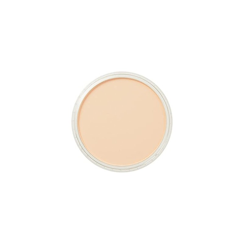 Pan Pastel Artists Pastel Orange Tint - 2808