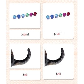 Phonetic Reading Cards Level 3, Group 1 (11 Packets)