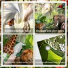 Avezano Jungle Backdrop Safari Party Decorations Rainforest Animals Banner