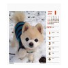 2024 Shunsuke (Weekly Turning Mini) Calendar No. 049