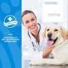NaturVet Tear Stain Helps Eliminate Tear Stains Dogs & Cats