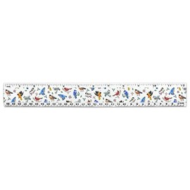 Northeastern Birds Pattern 12 Inch Standard and Metric Plastic Ruler