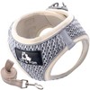Lil&Fam Dog Harness, Torso Leash Set, Gentle on the Body,