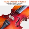Beginner Violin,4/4 Violin Full Size For Adults,Students,Fiddle Set