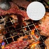 BBQ Grill Mesh, BESUNTEK 10 Pack 13 Inch Disposable BBQ