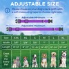 TECEUM Reflective Dog Collar – Purple – S – Extra