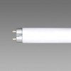 Hotarx NEC Lighting FL8W