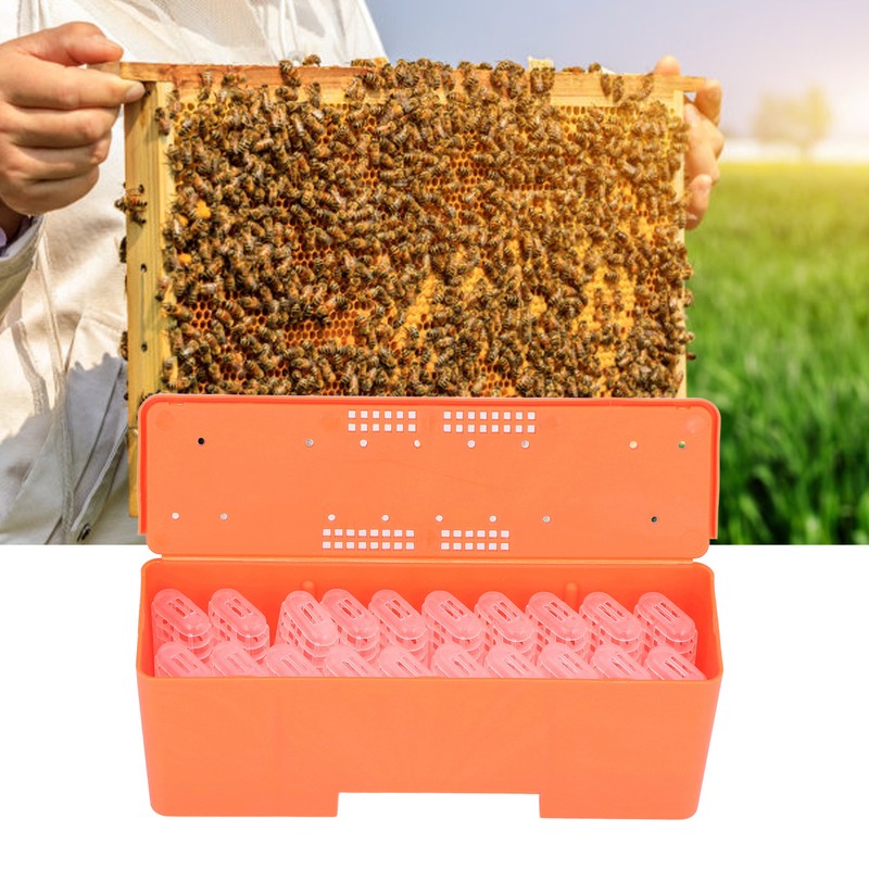 King Cage Transport Box with 20Pcs Queen Bee Rearing Cages