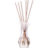 fresh& more Lufterfrischer Duftvasen 35 ml 6er Pack (Magic Vanille&Wild
