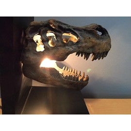 Dinosaur fossil light