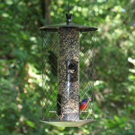 Perky-Pet 735 The Preserve Wild Bird Feeder