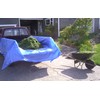 Dry Top 800685 Cut Size Tarp, 6x8 Feet (Blue)