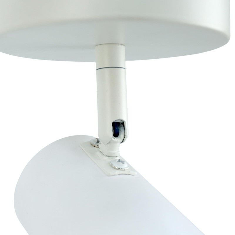 Lexi Lighting Brianna Spot Light, Flush-Mount Round Ceiling Light, 1