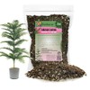GARDENERA Premium Araucaria Potting Soil Mix - Perfect Balance of