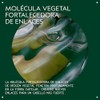 Aveda Botanical Repair Purple Toning Shampoo Fortalece el cabello