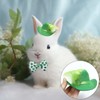 St Patrick's Day Pet Hat 2 Pcs St Patrick's Day